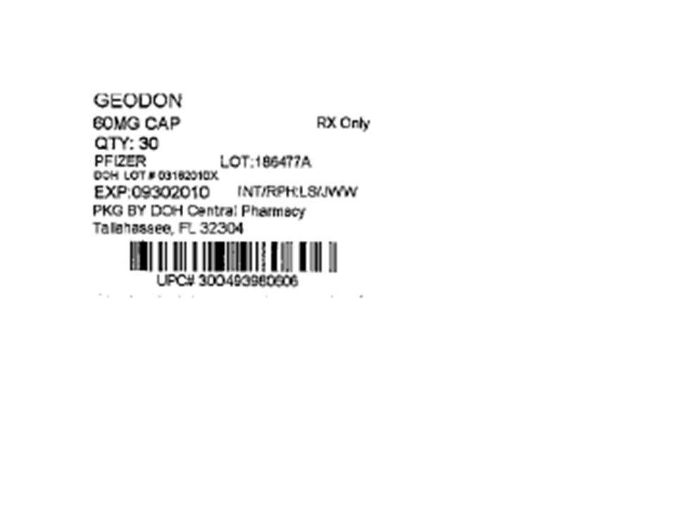 Geodon